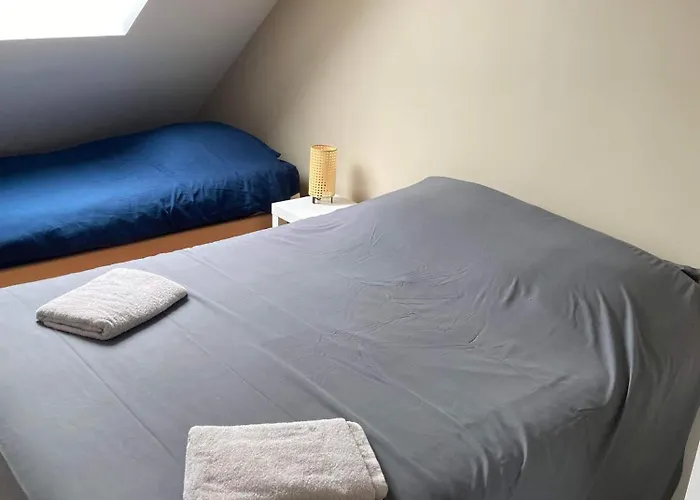 Anselme, F2 Duplex Avec Cour Commune Et Proche De La ,2